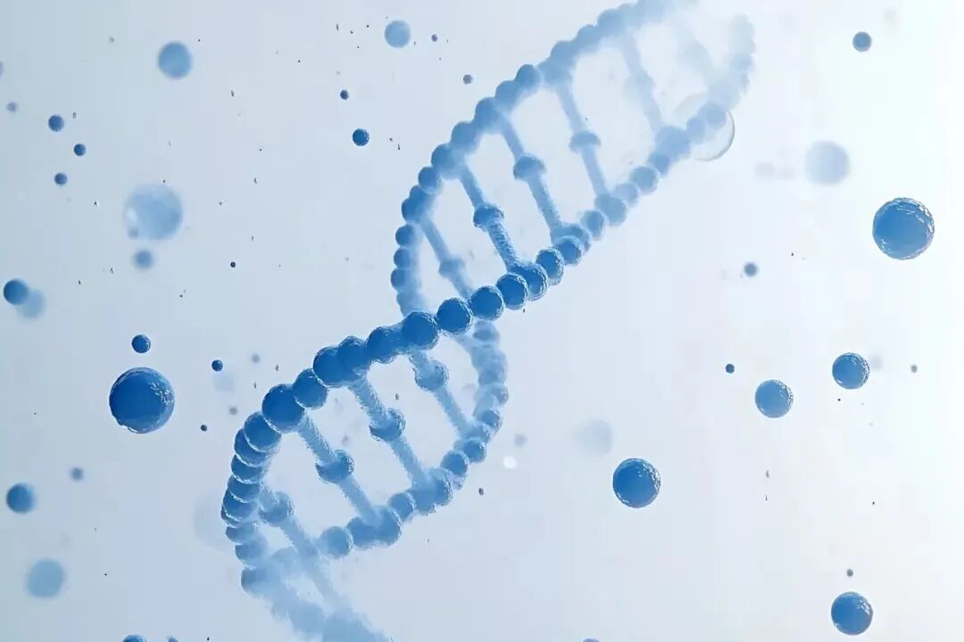 उच्च गुणवत्ता वाले सेल प्रयोगशाला का निर्माण करने के लिए विज्ञान के साथ पहली चिकित्सा विश्वविद्यालय के भागीदारों